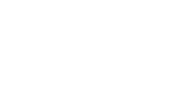 Metamix